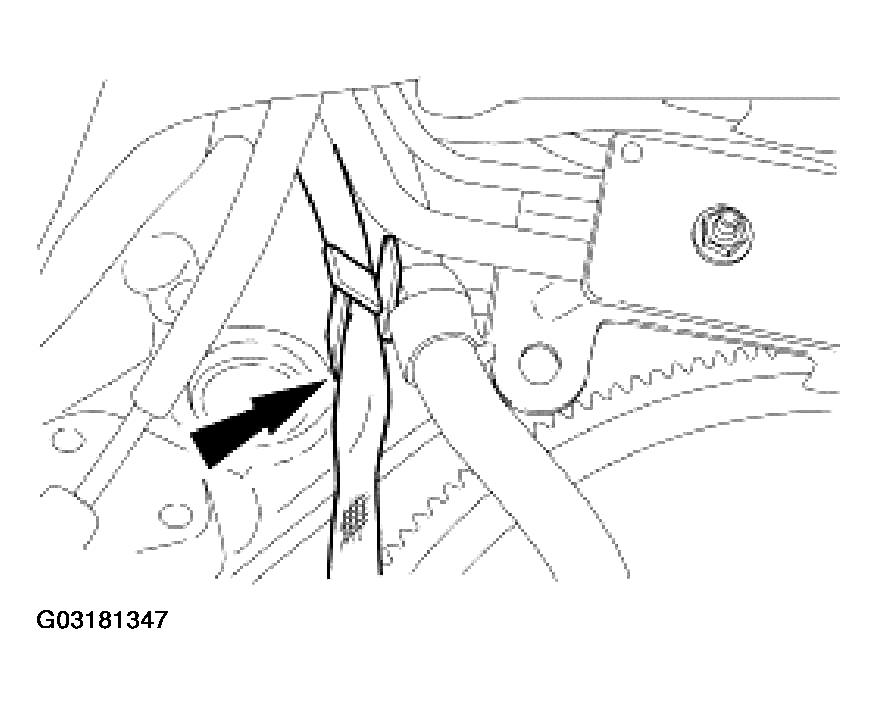 G03181347