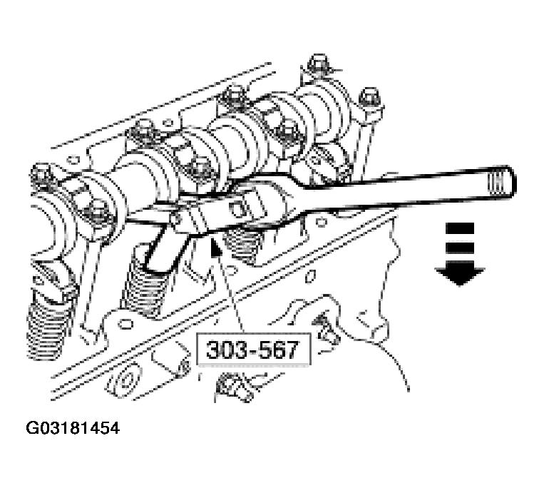 G03181454