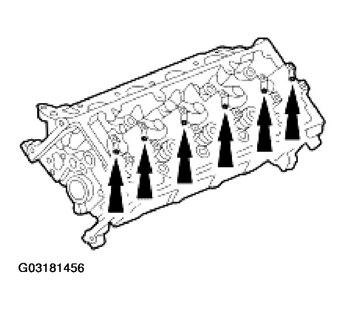 G03181456