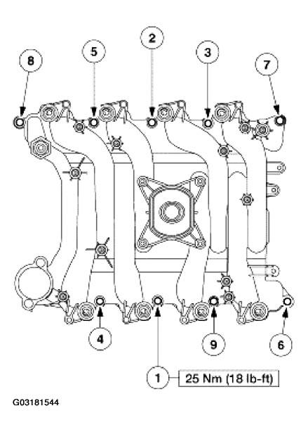 G03181544