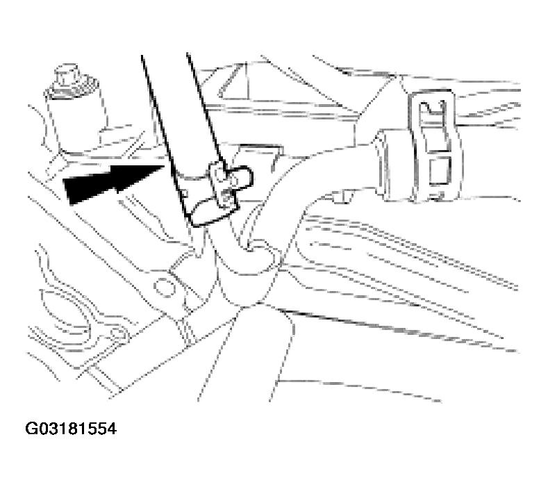 G03181554
