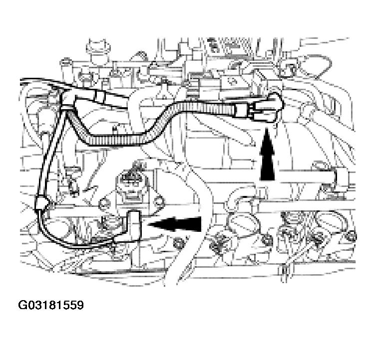 G03181559