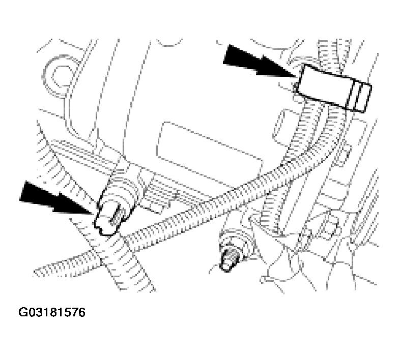G03181576