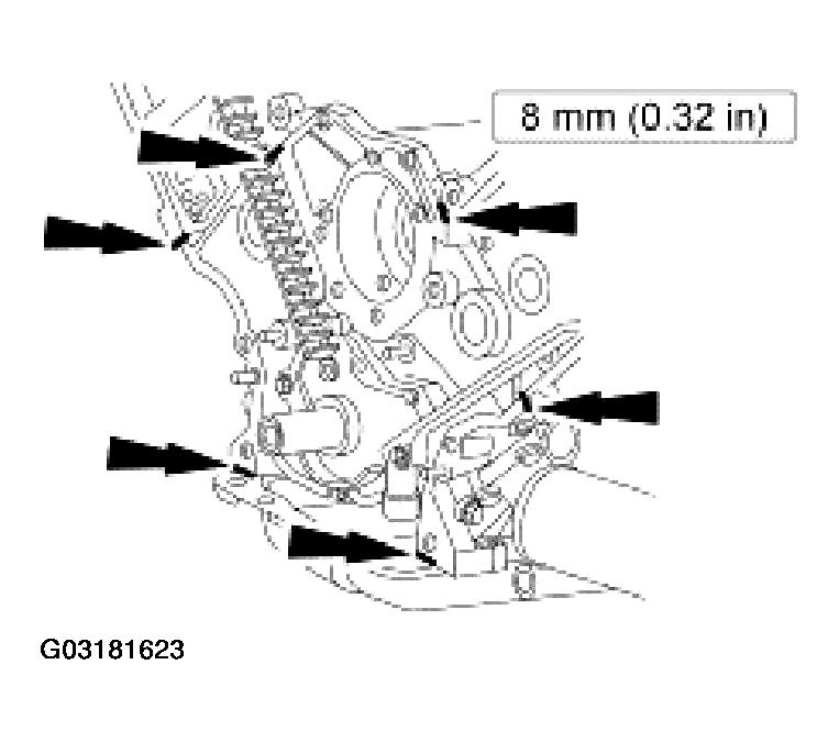 G03181623