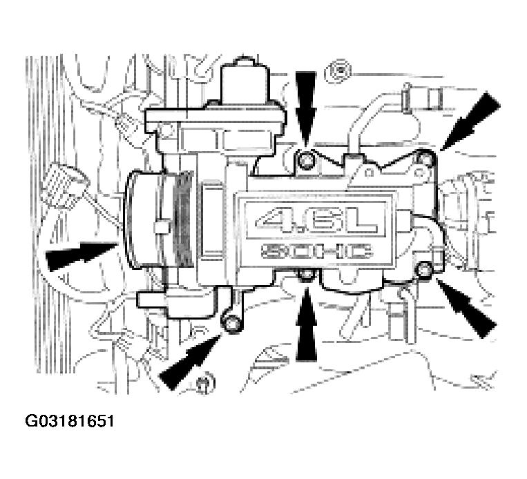 G03181651