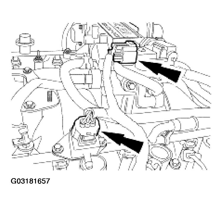 G03181657