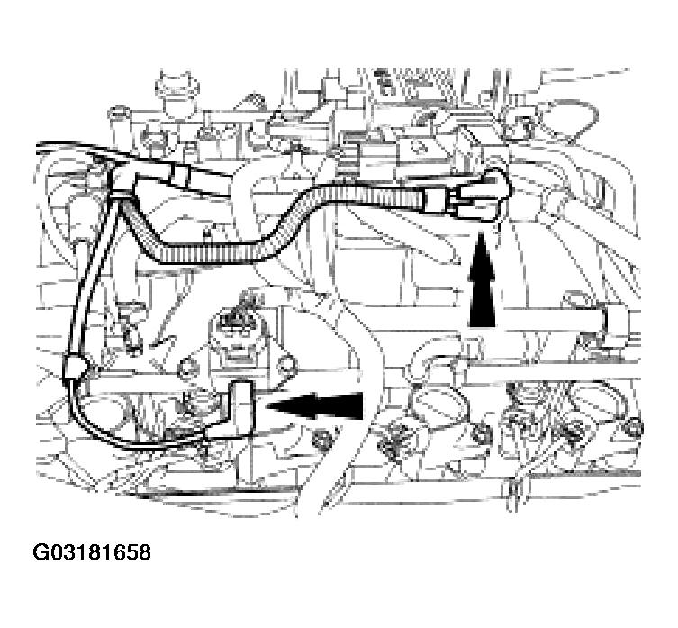 G03181658
