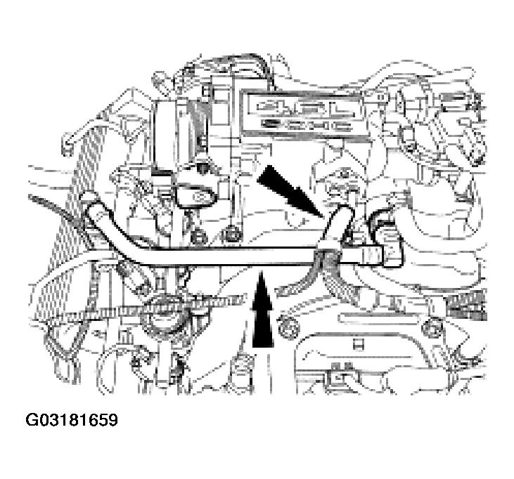 G03181659