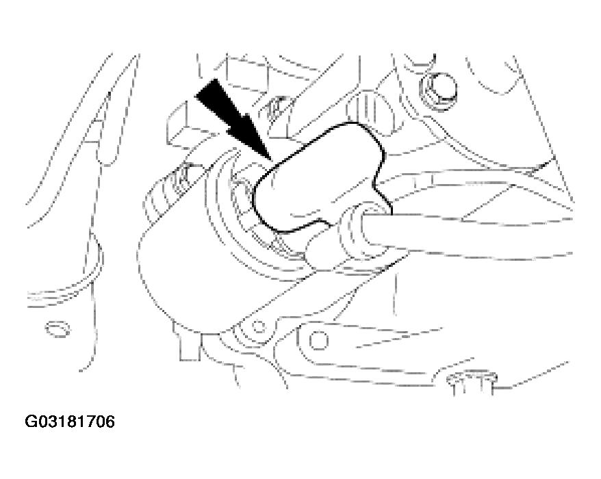 G03181706