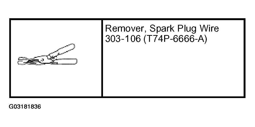 G03181836