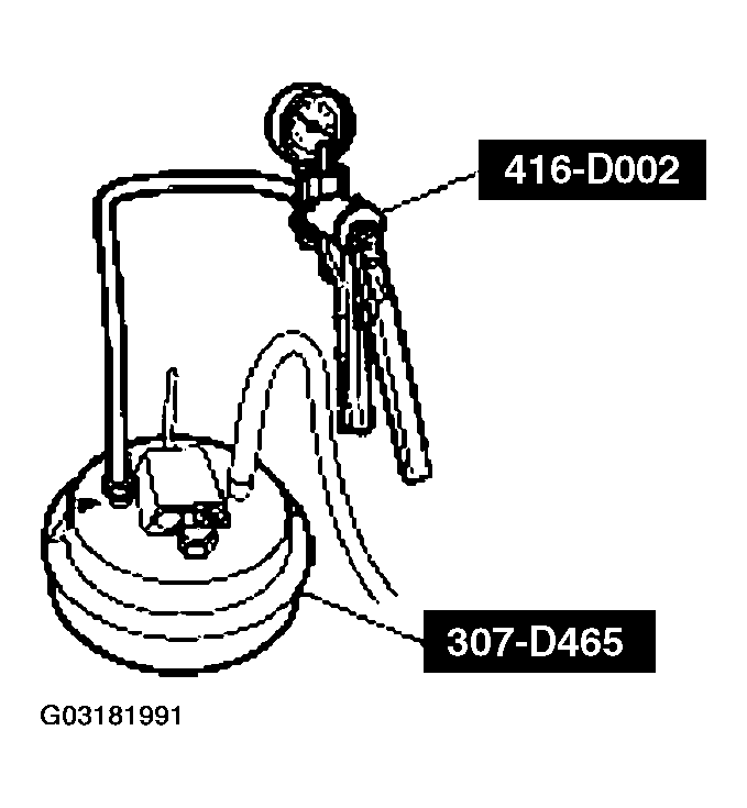 G03181991