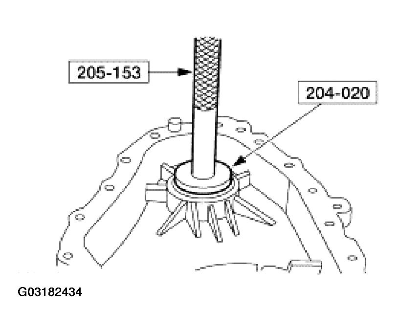 G03182434