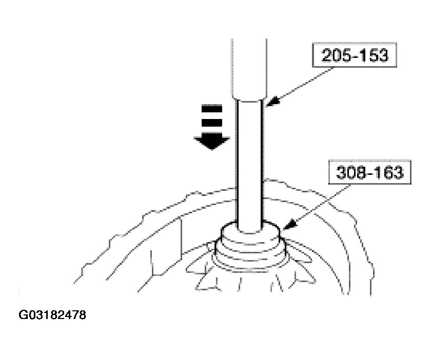 G03182478