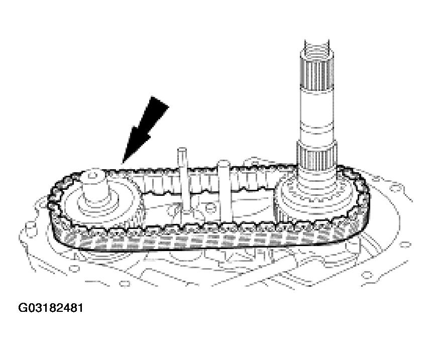 G03182481