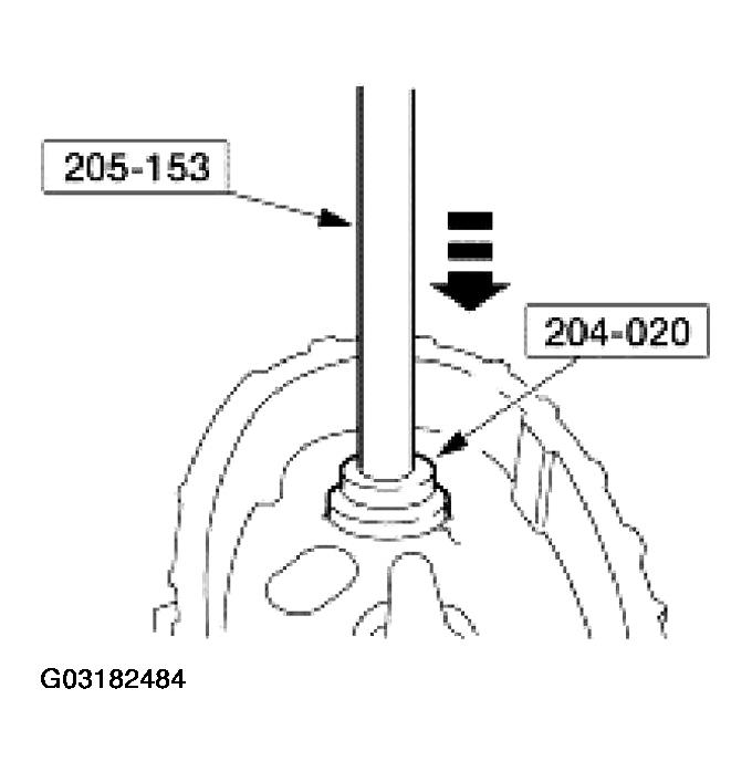 G03182484