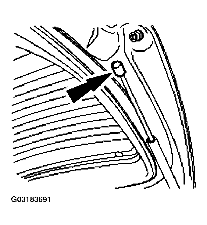 G03183691