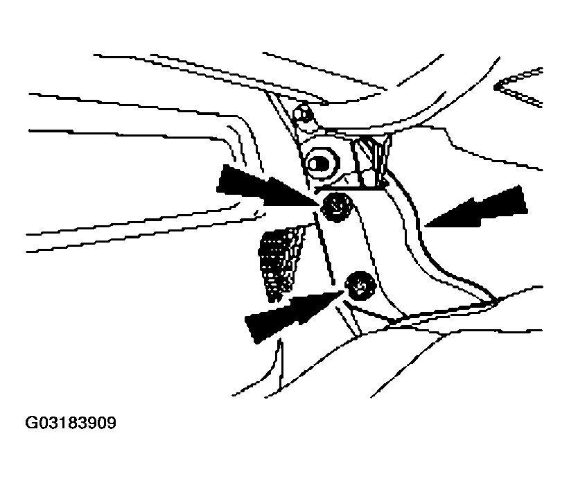 G03183909