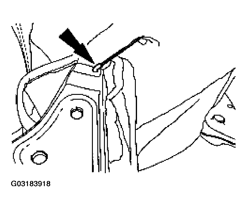 G03183918