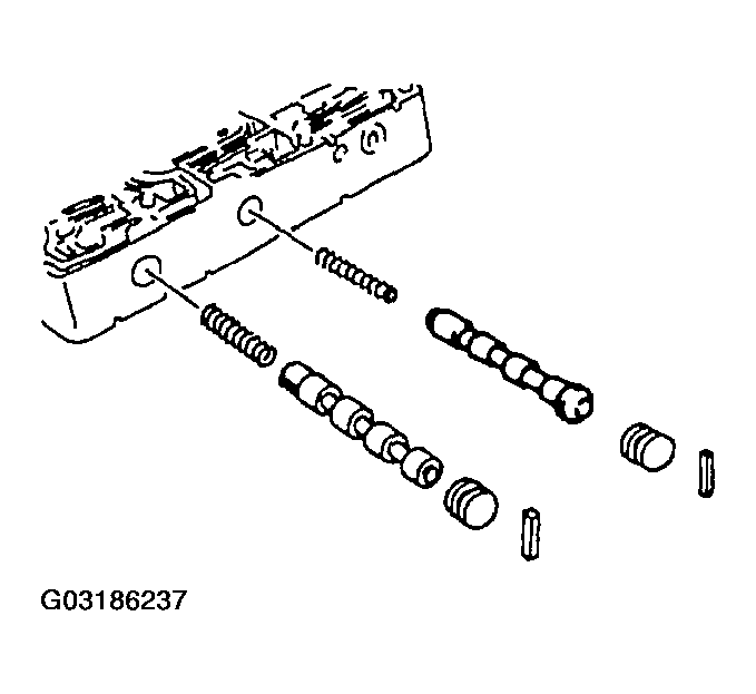 G03186237