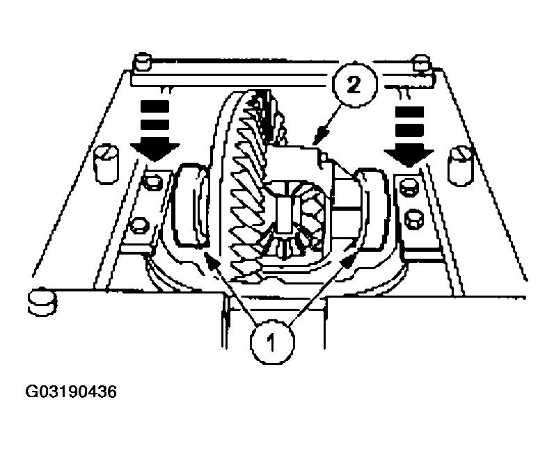 G03190436