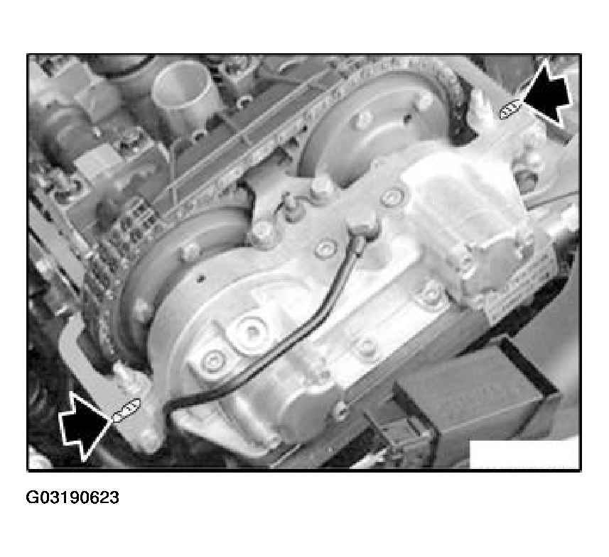 G03190623