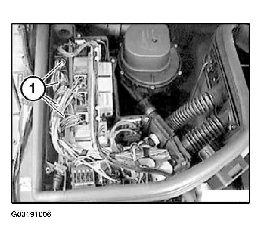 G03191006