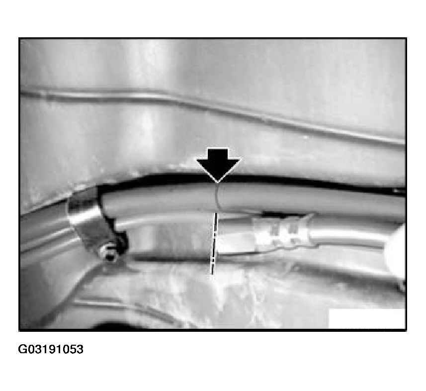 G03191053