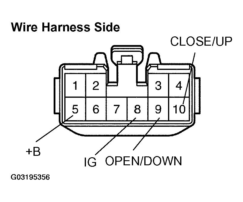 G03195356