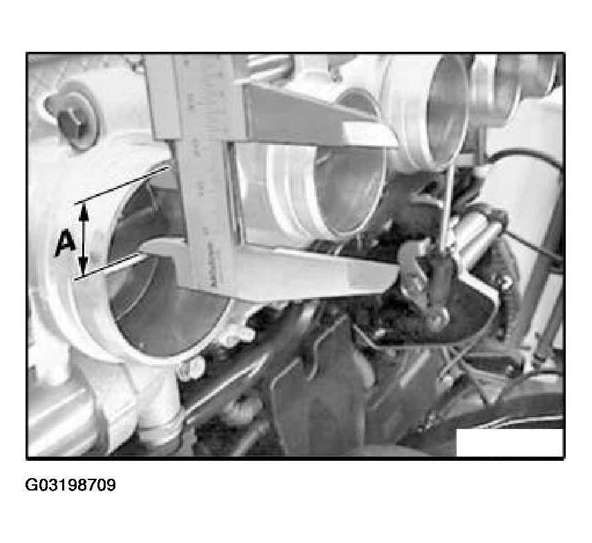 G03198709