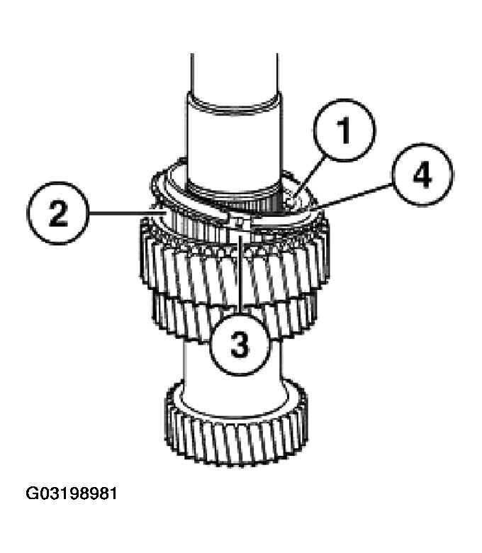 G03198981
