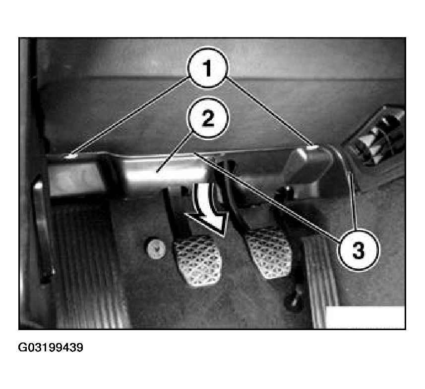 G03199439