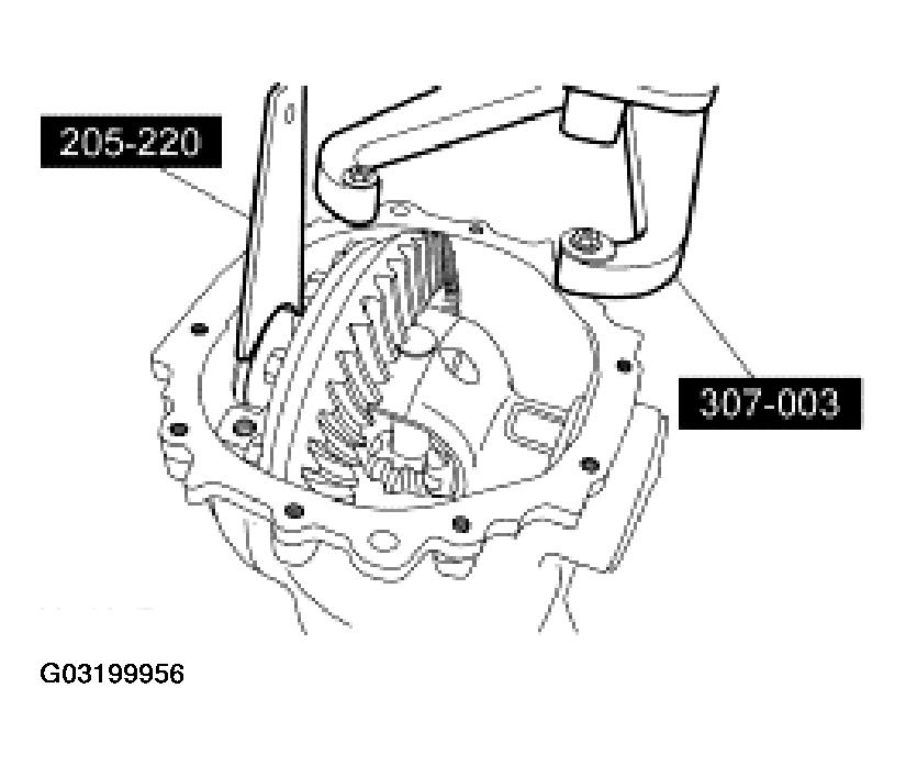 G03199956