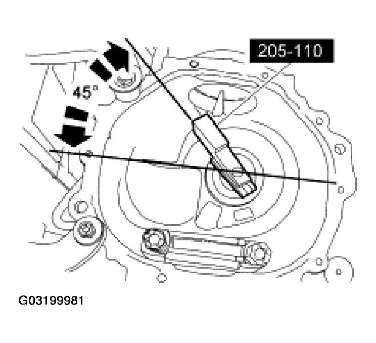 G03199981
