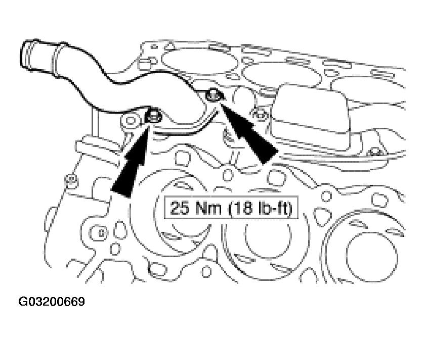 G03200669