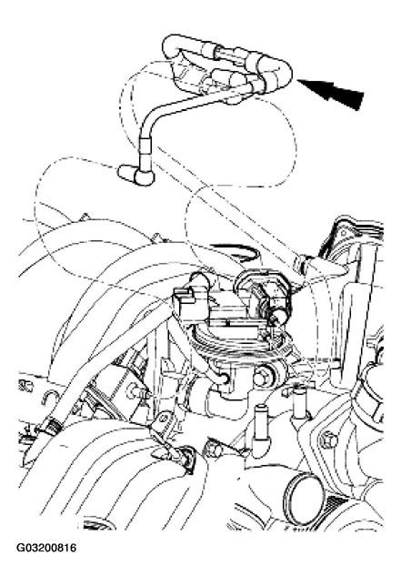 G03200816