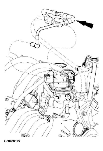 G03200819