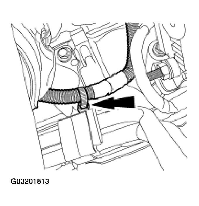G03201813