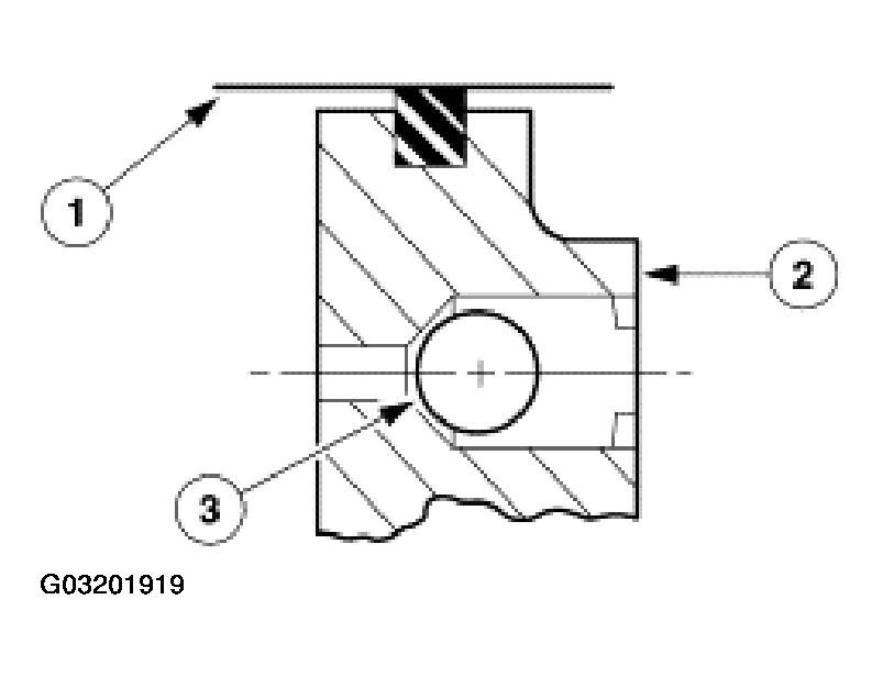 G03201919