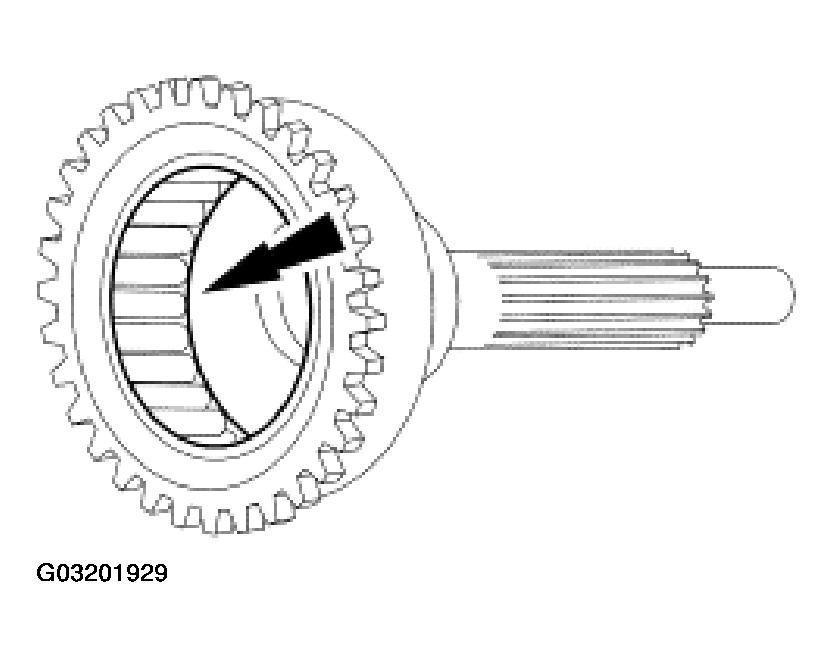 G03201929