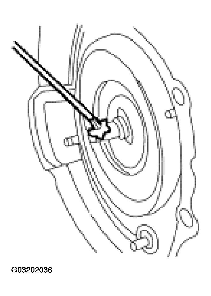 G03202036