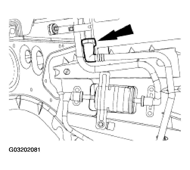 G03202081