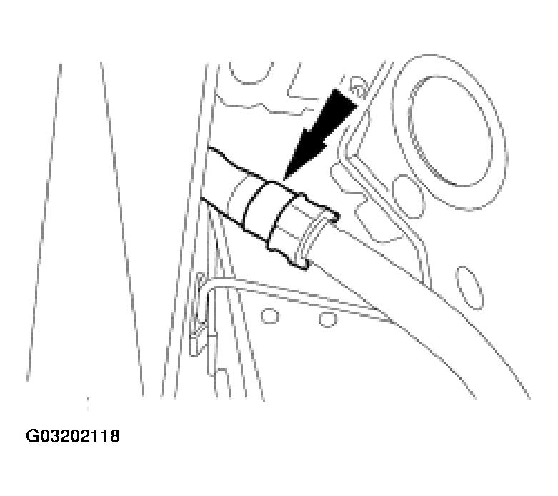 G03202118