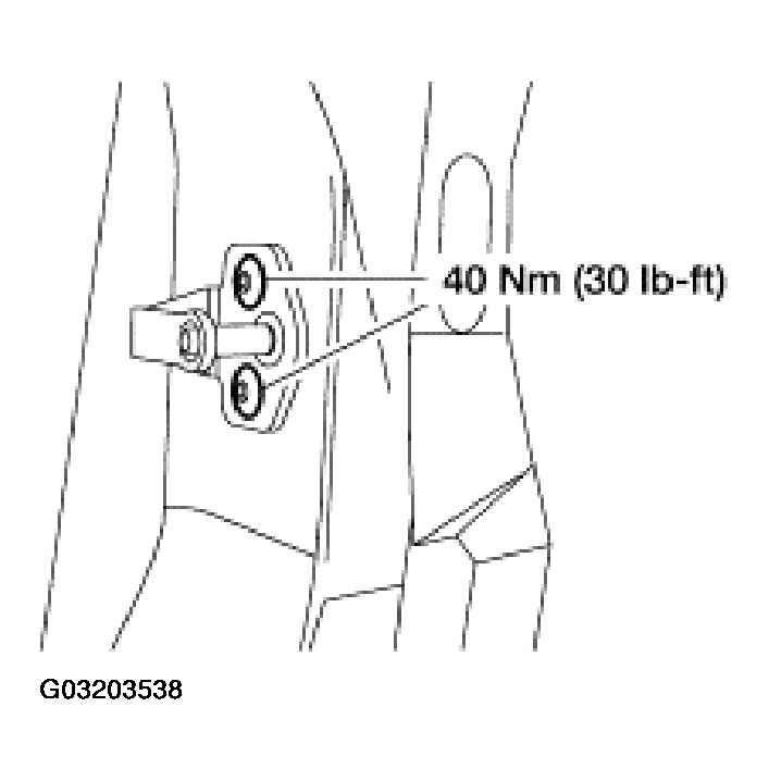 G03203538