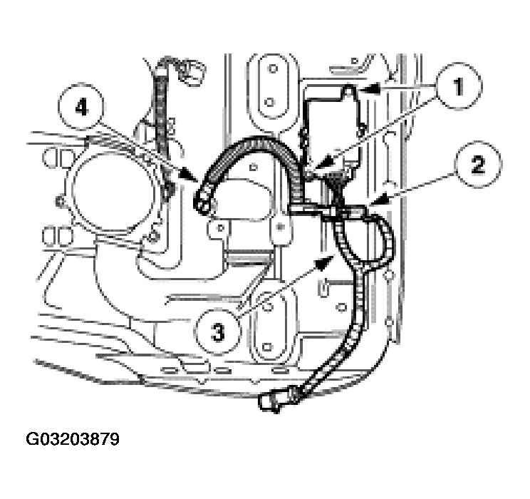 G03203879