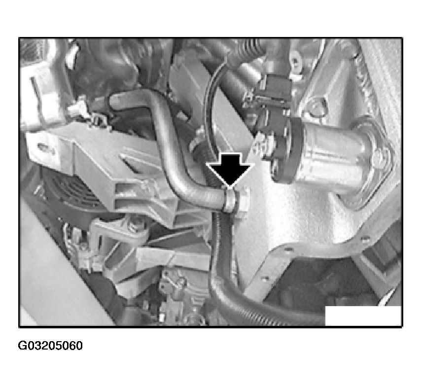 G03205060