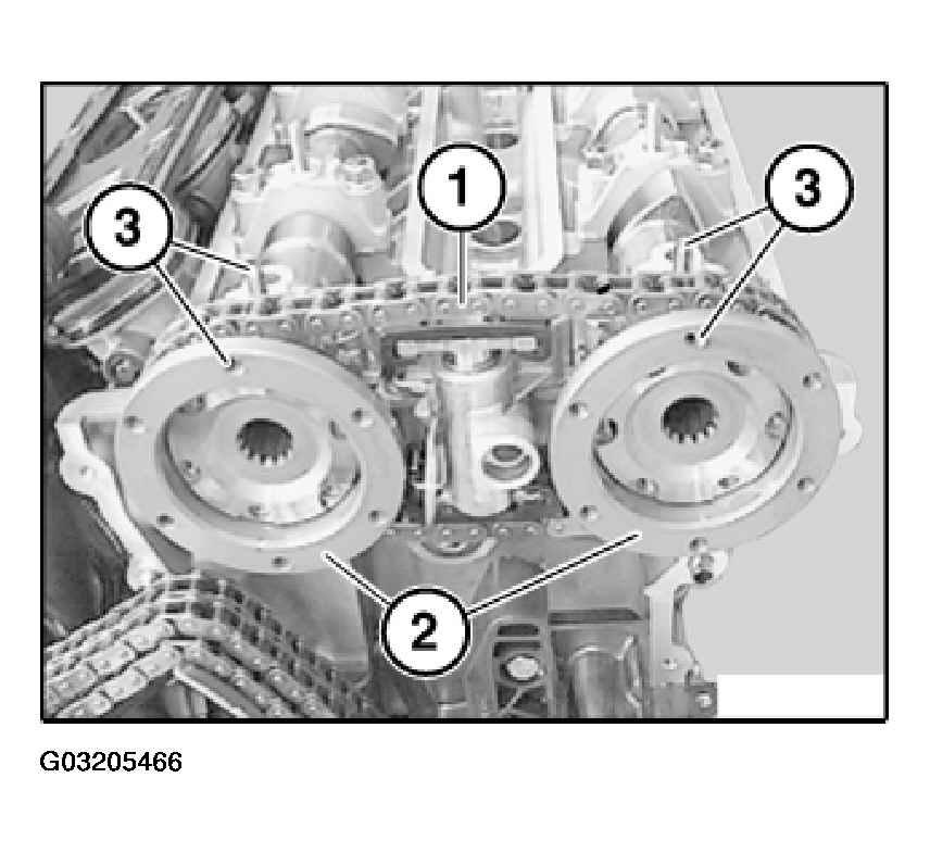 G03205466