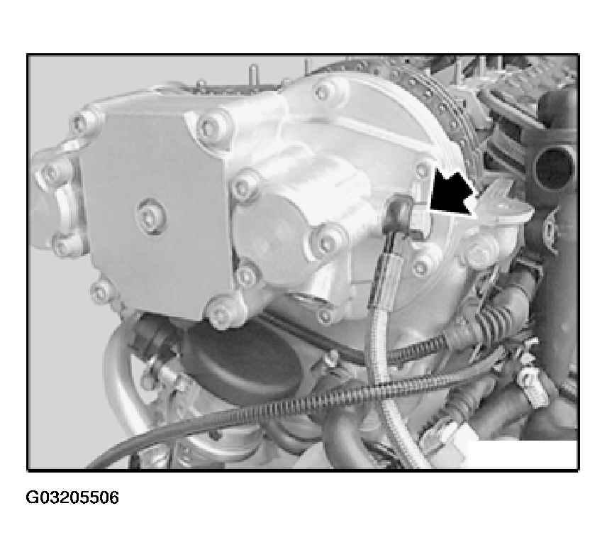 G03205506