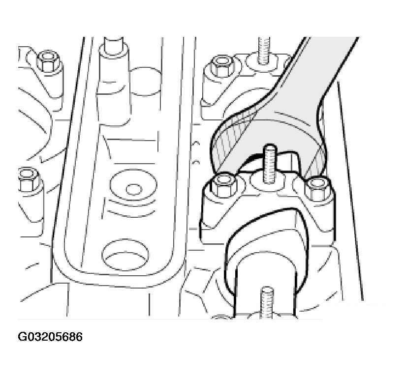 G03205686