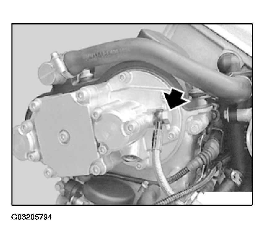 G03205794