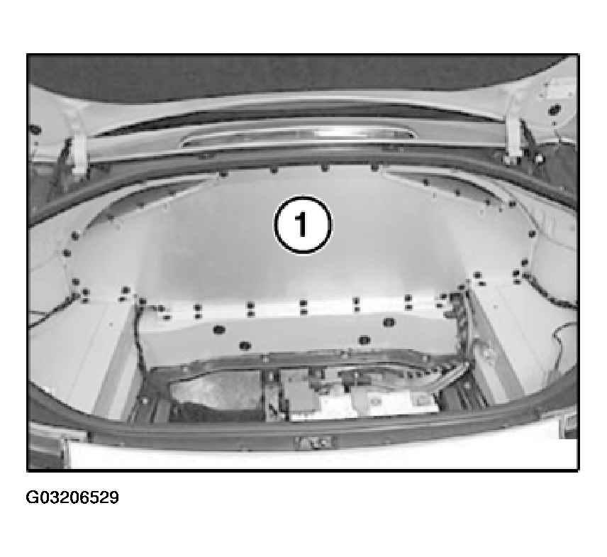 G03206529